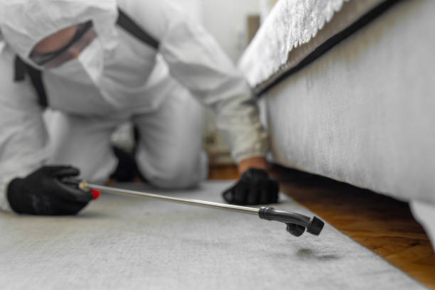 Professional Bed Bug Control technician working in Opelika, AL